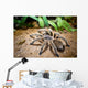 Tarantula Wall Decal