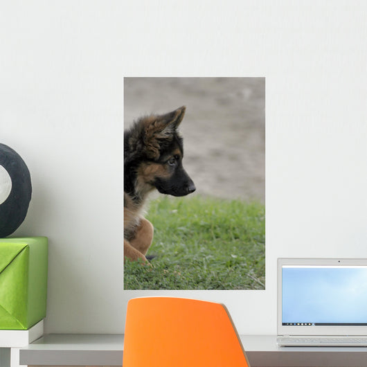 Shepherd 2 Wall Decal