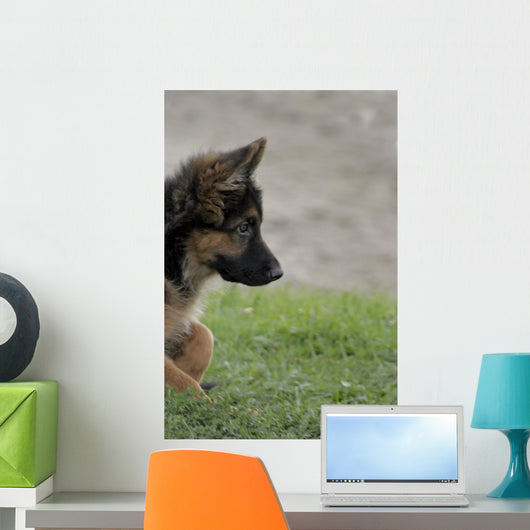 Shepherd 2 Wall Decal
