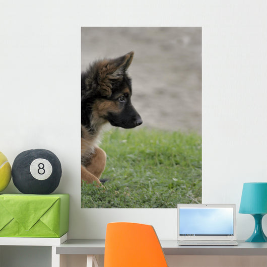 Shepherd 2 Wall Decal