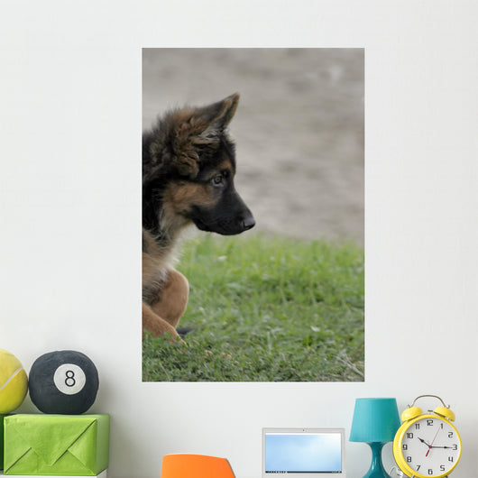 Shepherd 2 Wall Decal