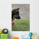 Shepherd 2 Wall Decal