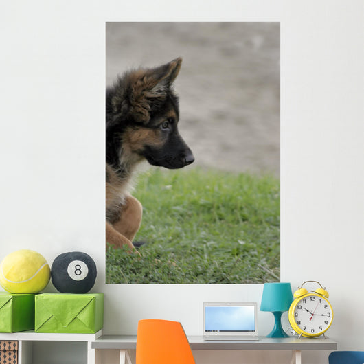 Shepherd 2 Wall Decal