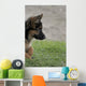 Shepherd 2 Wall Decal