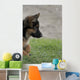 Shepherd 2 Wall Decal
