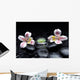 Still Life with Orchid Wall Decal