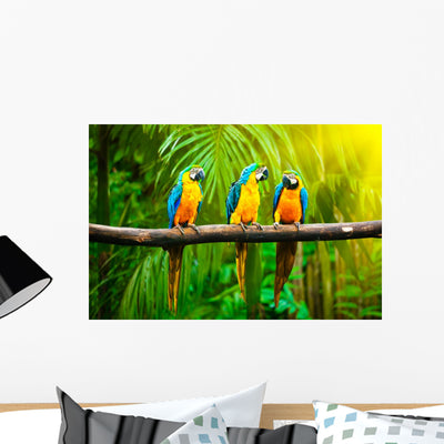 Blue-and-yellow Macaw Wall Decal shown on a wall