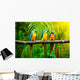 Blue-and-yellow Macaw Wall Decal