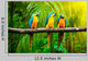 Blue-and-yellow Macaw Wall Decal