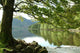 Lake District Shore Wall Decal