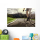 Bicycle Tour Wall Decal