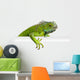 Iguana Asomada Wall Decal