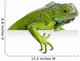 Iguana Asomada Wall Decal