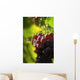 Red Grapes Close-up Wall Decal