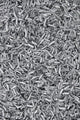Metal Chips Wall Decal