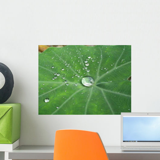 Big Waterdrop Surrounded Smaller Wall Decal