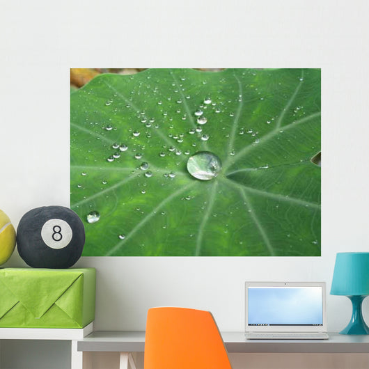 Big Waterdrop Surrounded Smaller Wall Decal