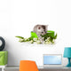 Kitten Green Gift Box Wall Decal