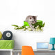 Kitten Green Gift Box Wall Decal