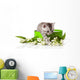 Kitten Green Gift Box Wall Decal