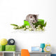 Kitten Green Gift Box Wall Decal