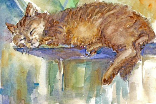 Sleeping Cat Wall Decal