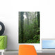 Rain Forest Wall Decal