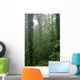 Rain Forest Wall Decal