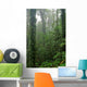 Rain Forest Wall Decal