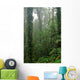 Rain Forest Wall Decal