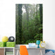 Rain Forest Wall Decal