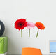 Three Gerbera Wall Decal