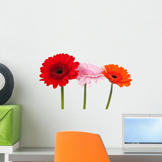 Three Gerbera Wall Decal