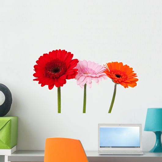 Three Gerbera Wall Decal