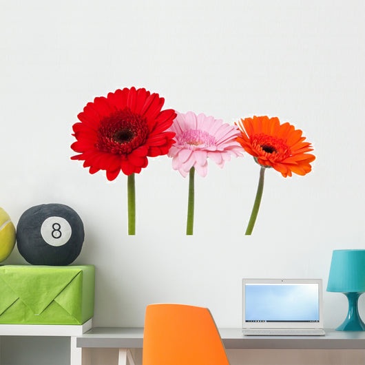 Three Gerbera Wall Decal