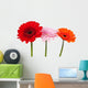 Three Gerbera Wall Decal