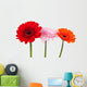 Three Gerbera Wall Decal