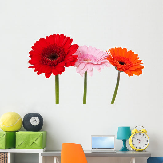 Three Gerbera Wall Decal
