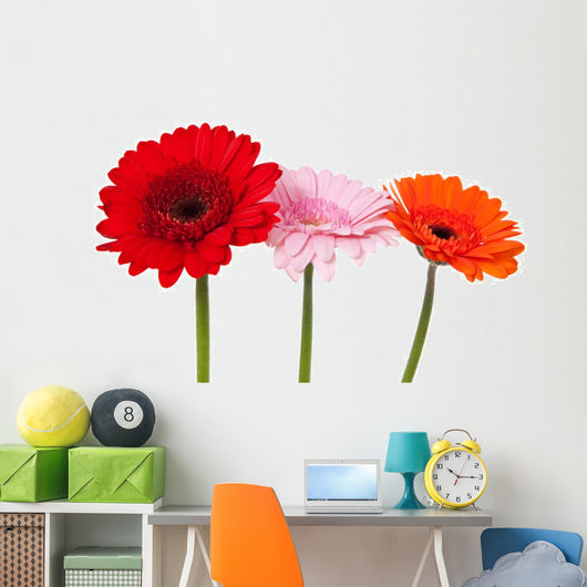 Three Gerbera Wall Decal
