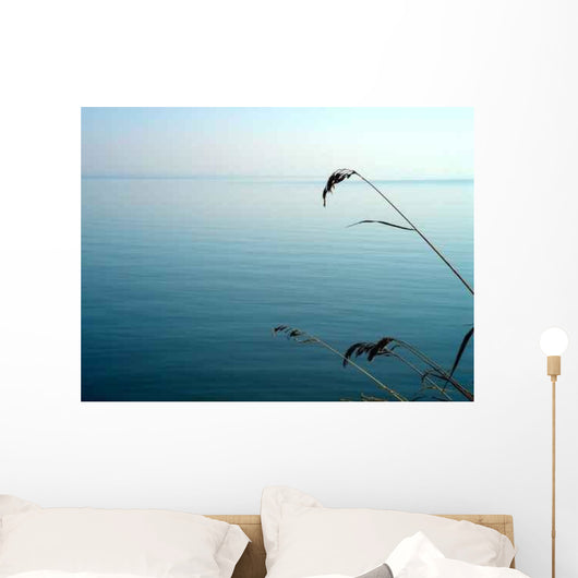 Calm Wall Decal