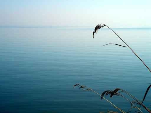 Calm Wall Decal