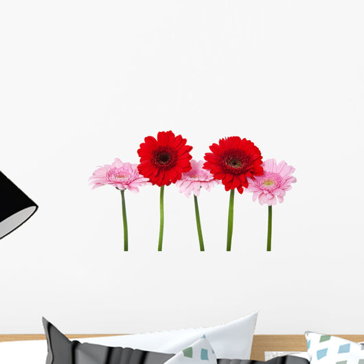 Red and Pink Gerbera Wall Decal