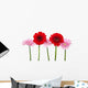 Red and Pink Gerbera Wall Decal