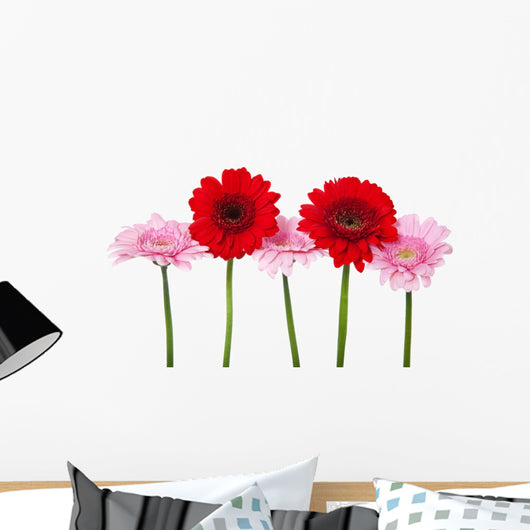 Red and Pink Gerbera Wall Decal