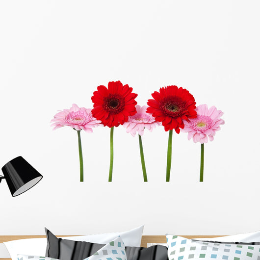 Red and Pink Gerbera Wall Decal