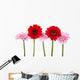 Red and Pink Gerbera Wall Decal