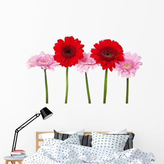 Red and Pink Gerbera Wall Decal