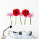 Red and Pink Gerbera Wall Decal