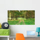 Winding Path through Misty Wall Decal