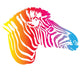 Rainbow Zebra Wall Decal